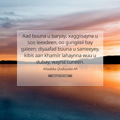 Picture 07 - Bilowgii 19:3 SOM - Aad buuna u baryay; xaggiisayna u soo leexdeen, - Bible Verse Picture