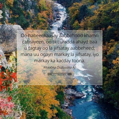 Picture 07 - Bilowgii 19:33 SOM - Oo habeenkaasay aabbahood khamri cabsiiyeen, oo - Bible Verse Picture