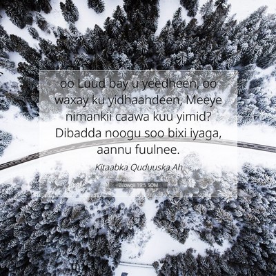 Picture 07 - Bilowgii 19:5 SOM - oo Luud bay u yeedheen, oo waxay ku yidhaahdeen, - Bible Verse Picture