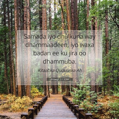 Picture 07 - Bilowgii 2:1 SOM - Samada iyo dhulkuna way dhammaadeen, iyo waxa - Bible Verse Picture