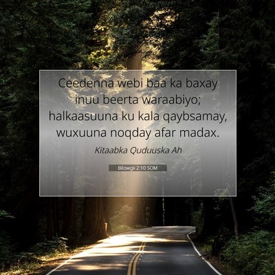 Picture 07 - Bilowgii 2:10 SOM - Ceedenna webi baa ka baxay inuu beerta waraabiyo; - Bible Verse Picture