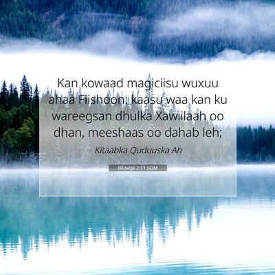Picture 07 - Bilowgii 2:11 SOM - Kan kowaad magiciisu wuxuu ahaa Fiishoon: kaasu - Bible Verse Picture