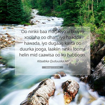 Picture 07 - Bilowgii 2:20 SOM - Oo ninkii baa magacyo u bixiyey xoolaha oo dhan, - Bible Verse Picture