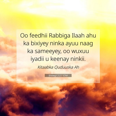 Picture 07 - Bilowgii 2:22 SOM - Oo feedhii Rabbiga Ilaah ahu ka bixiyey ninka - Bible Verse Picture