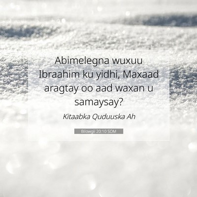Picture 07 - Bilowgii 20:10 SOM - Abimelegna wuxuu Ibraahim ku yidhi, Maxaad - Bible Verse Picture