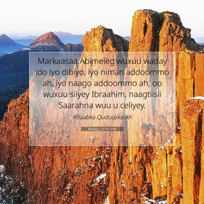 Picture 07 - Bilowgii 20:14 SOM - Markaasaa Abimeleg wuxuu waday ido iyo dibiyo, - Bible Verse Picture