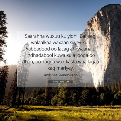 Picture 07 - Bilowgii 20:16 SOM - Saarahna wuxuu ku yidhi, Bal eeg, walaalkaa - Bible Verse Picture