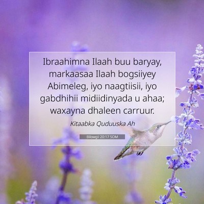 Picture 07 - Bilowgii 20:17 SOM - Ibraahimna Ilaah buu baryay, markaasaa Ilaah - Bible Verse Picture