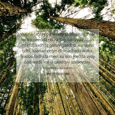 Picture 07 - Bilowgii 21:16 SOM - Wayna tagtay oo waxay fadhiisatay meel ku soo - Bible Verse Picture