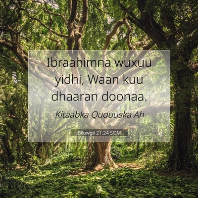 Picture 07 - Bilowgii 21:24 SOM - Ibraahimna wuxuu yidhi, Waan kuu dhaaran - Bible Verse Picture