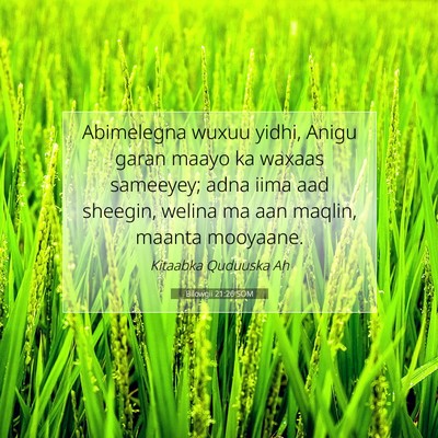 Picture 07 - Bilowgii 21:26 SOM - Abimelegna wuxuu yidhi, Anigu garan maayo ka - Bible Verse Picture