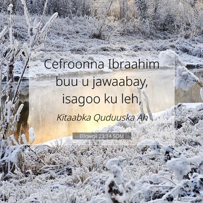 Picture 07 - Bilowgii 23:14 SOM - Cefroonna Ibraahim buu u jawaabay, isagoo ku - Bible Verse Picture