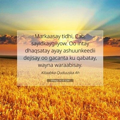 Picture 07 - Bilowgii 24:18 SOM - Markaasay tidhi, Cab, sayidkaygiiyow. Oo intay - Bible Verse Picture
