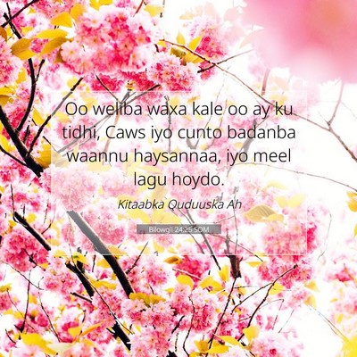 Picture 07 - Bilowgii 24:25 SOM - Oo weliba waxa kale oo ay ku tidhi, Caws iyo - Bible Verse Picture