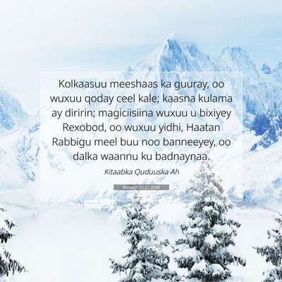 Picture 07 - Bilowgii 26:22 SOM - Kolkaasuu meeshaas ka guuray, oo wuxuu qoday ceel - Bible Verse Picture