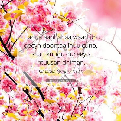 Picture 07 - Bilowgii 27:10 SOM - adna aabbahaa waad u geeyn doontaa inuu cuno, si - Bible Verse Picture