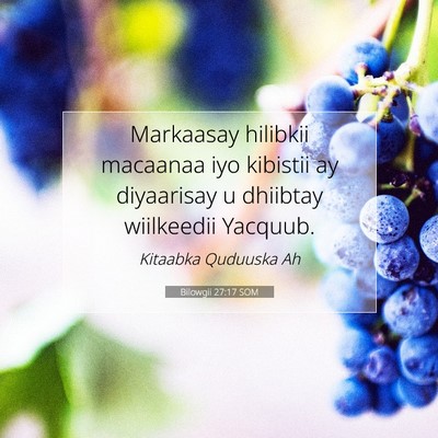 Picture 07 - Bilowgii 27:17 SOM - Markaasay hilibkii macaanaa iyo kibistii ay - Bible Verse Picture