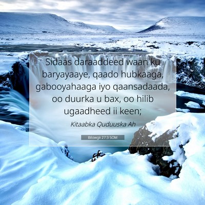 Picture 07 - Bilowgii 27:3 SOM - Sidaas daraaddeed waan ku baryayaaye, qaado - Bible Verse Picture