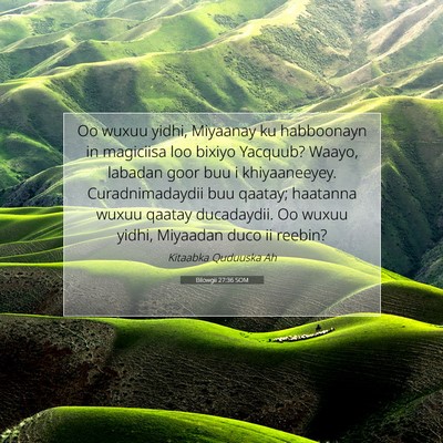 Picture 07 - Bilowgii 27:36 SOM - Oo wuxuu yidhi, Miyaanay ku habboonayn in - Bible Verse Picture