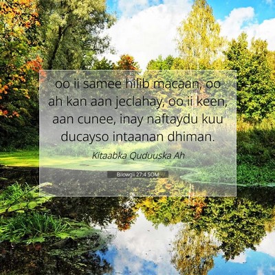 Picture 07 - Bilowgii 27:4 SOM - oo ii samee hilib macaan, oo ah kan aan jeclahay, - Bible Verse Picture