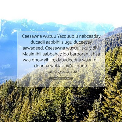 Picture 07 - Bilowgii 27:41 SOM - Ceesawna wuxuu Yacquub u nebcaaday ducadii - Bible Verse Picture