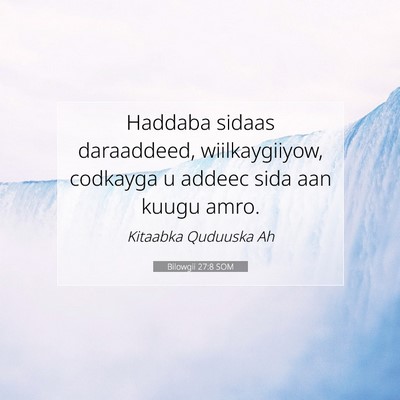 Picture 07 - Bilowgii 27:8 SOM - Haddaba sidaas daraaddeed, wiilkaygiiyow, - Bible Verse Picture
