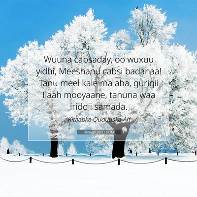 Picture 07 - Bilowgii 28:17 SOM - Wuuna cabsaday, oo wuxuu yidhi, Meeshanu cabsi - Bible Verse Picture