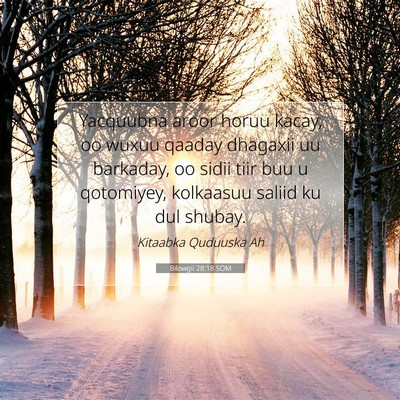 Picture 07 - Bilowgii 28:18 SOM - Yacquubna aroor horuu kacay, oo wuxuu qaaday - Bible Verse Picture