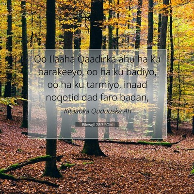 Picture 07 - Bilowgii 28:3 SOM - Oo Ilaaha Qaadirka ahu ha ku barakeeyo, oo ha ku - Bible Verse Picture