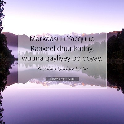 Picture 07 - Bilowgii 29:11 SOM - Markaasuu Yacquub Raaxeel dhunkaday, wuuna - Bible Verse Picture