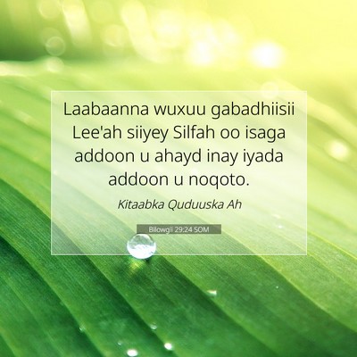 Picture 07 - Bilowgii 29:24 SOM - Laabaanna wuxuu gabadhiisii Lee'ah siiyey Silfah - Bible Verse Picture