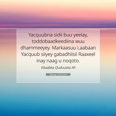 Picture 07 - Bilowgii 29:28 SOM - Yacquubna sidii buu yeelay, toddobaadkeediina wuu - Bible Verse Picture