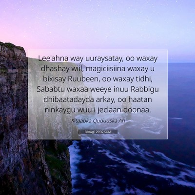 Picture 07 - Bilowgii 29:32 SOM - Lee'ahna way uuraysatay, oo waxay dhashay wiil, - Bible Verse Picture