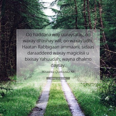 Picture 07 - Bilowgii 29:35 SOM - Oo haddana way uuraysatay, oo waxay dhashay wiil; - Bible Verse Picture