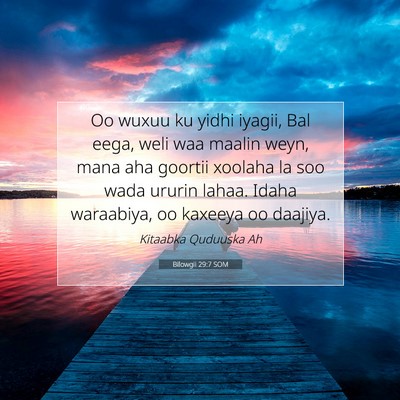 Picture 07 - Bilowgii 29:7 SOM - Oo wuxuu ku yidhi iyagii, Bal eega, weli waa - Bible Verse Picture
