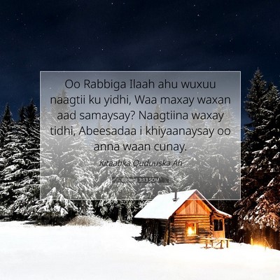 Picture 07 - Bilowgii 3:13 SOM - Oo Rabbiga Ilaah ahu wuxuu naagtii ku yidhi, Waa - Bible Verse Picture