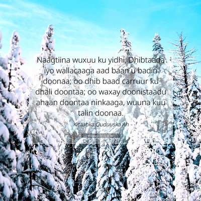 Picture 07 - Bilowgii 3:16 SOM - Naagtiina wuxuu ku yidhi, Dhibtaada iyo - Bible Verse Picture