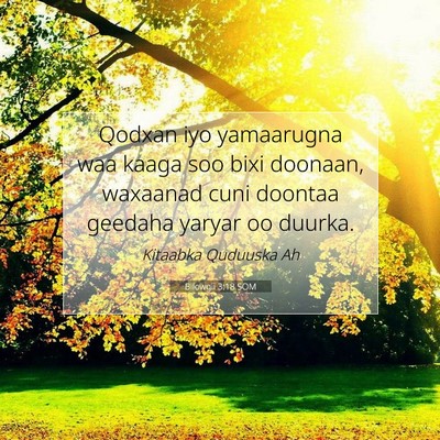 Picture 07 - Bilowgii 3:18 SOM - Qodxan iyo yamaarugna waa kaaga soo bixi doonaan, - Bible Verse Picture