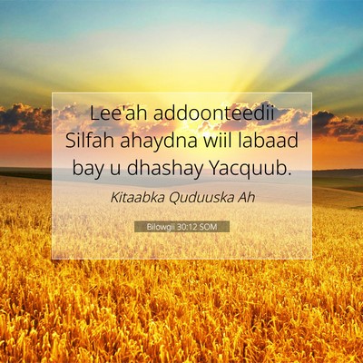 Picture 07 - Bilowgii 30:12 SOM - Lee'ah addoonteedii Silfah ahaydna wiil labaad - Bible Verse Picture