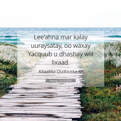 Picture 07 - Bilowgii 30:19 SOM - Lee'ahna mar kalay uuraysatay, oo waxay Yacquub u - Bible Verse Picture