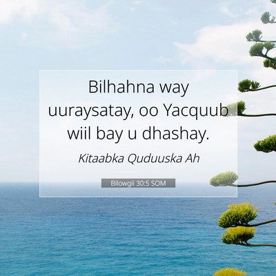 Picture 07 - Bilowgii 30:5 SOM - Bilhahna way uuraysatay, oo Yacquub wiil bay u - Bible Verse Picture