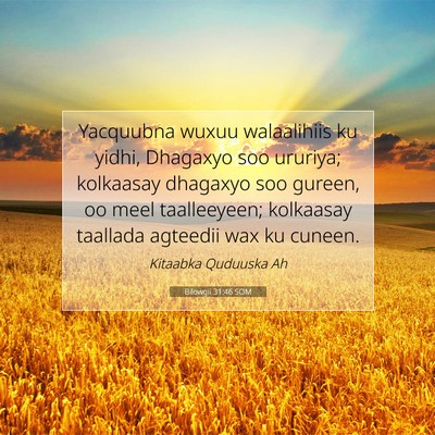Picture 07 - Bilowgii 31:46 SOM - Yacquubna wuxuu walaalihiis ku yidhi, Dhagaxyo - Bible Verse Picture