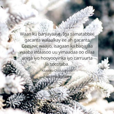 Picture 07 - Bilowgii 32:11 SOM - Waan ku baryayaaye, Iga samatabbixi gacanta - Bible Verse Picture
