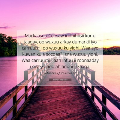 Picture 07 - Bilowgii 33:5 SOM - Markaasuu Ceesaw indhihiisii kor u taagay, oo - Bible Verse Picture