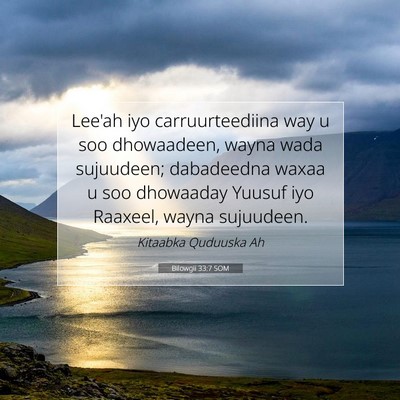 Picture 07 - Bilowgii 33:7 SOM - Lee'ah iyo carruurteediina way u soo dhowaadeen, - Bible Verse Picture