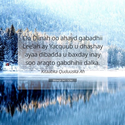 Picture 07 - Bilowgii 34:1 SOM - Oo Diinah oo ahayd gabadhii Lee'ah ay Yacquub u - Bible Verse Picture