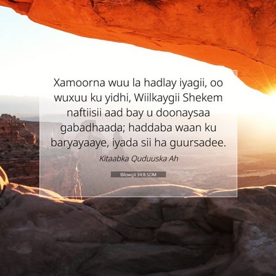 Picture 07 - Bilowgii 34:8 SOM - Xamoorna wuu la hadlay iyagii, oo wuxuu ku yidhi, - Bible Verse Picture