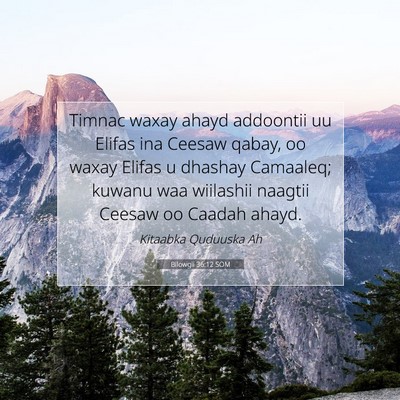 Picture 07 - Bilowgii 36:12 SOM - Timnac waxay ahayd addoontii uu Elifas ina Ceesaw - Bible Verse Picture