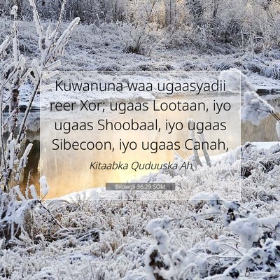 Picture 07 - Bilowgii 36:29 SOM - Kuwanuna waa ugaasyadii reer Xor; ugaas Lootaan, - Bible Verse Picture