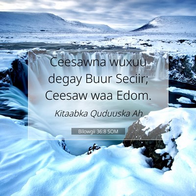 Picture 07 - Bilowgii 36:8 SOM - Ceesawna wuxuu degay Buur Seciir; Ceesaw waa - Bible Verse Picture